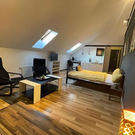 Savoya Nr3 Studio Old City Center Self Check-In تيميشورا المظهر الخارجي الصورة