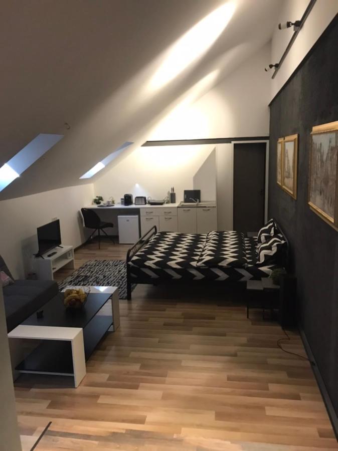 Savoya Nr3 Studio Old City Center Self Check-In تيميشورا المظهر الخارجي الصورة