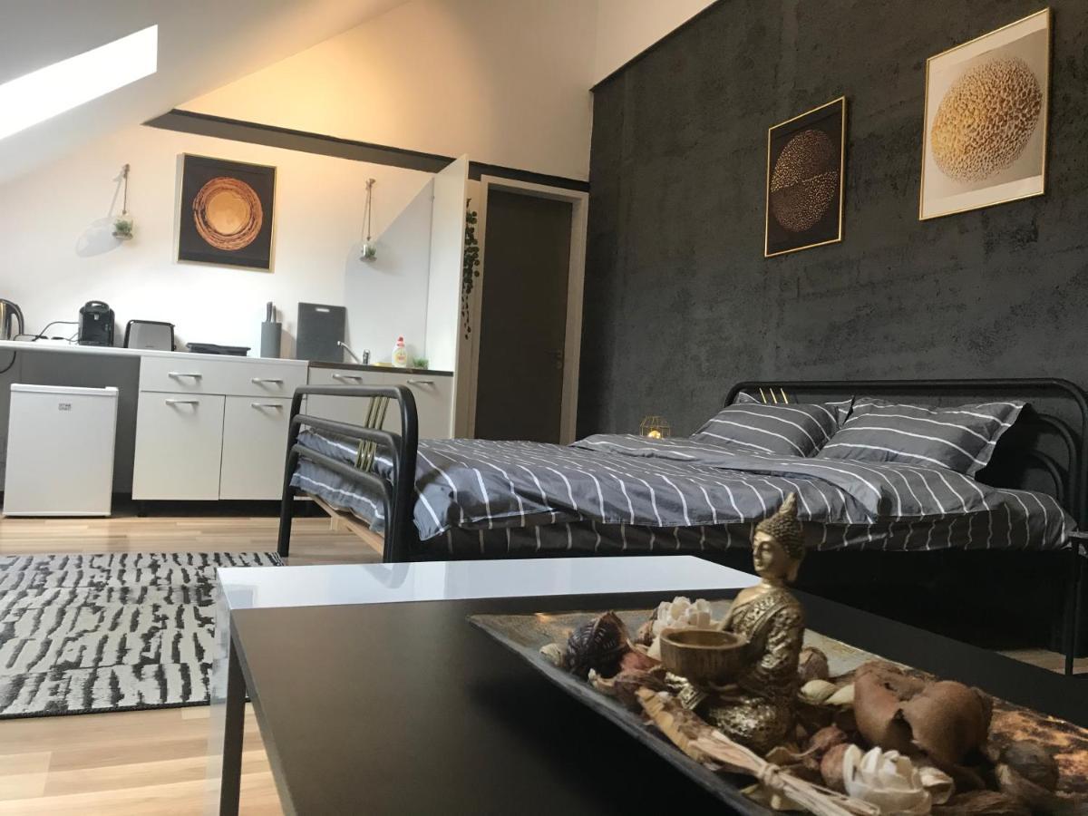 Savoya Nr3 Studio Old City Center Self Check-In تيميشورا المظهر الخارجي الصورة
