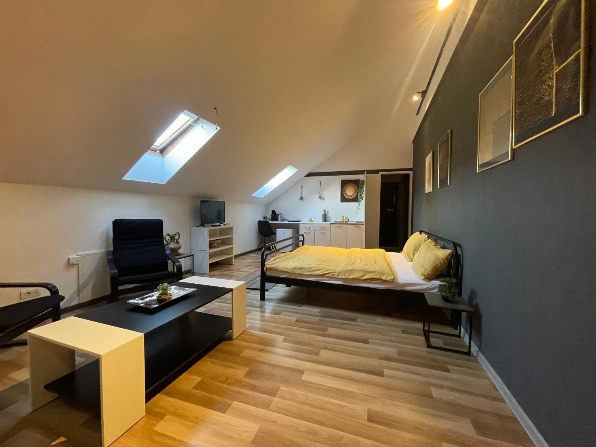 Savoya Nr3 Studio Old City Center Self Check-In تيميشورا المظهر الخارجي الصورة
